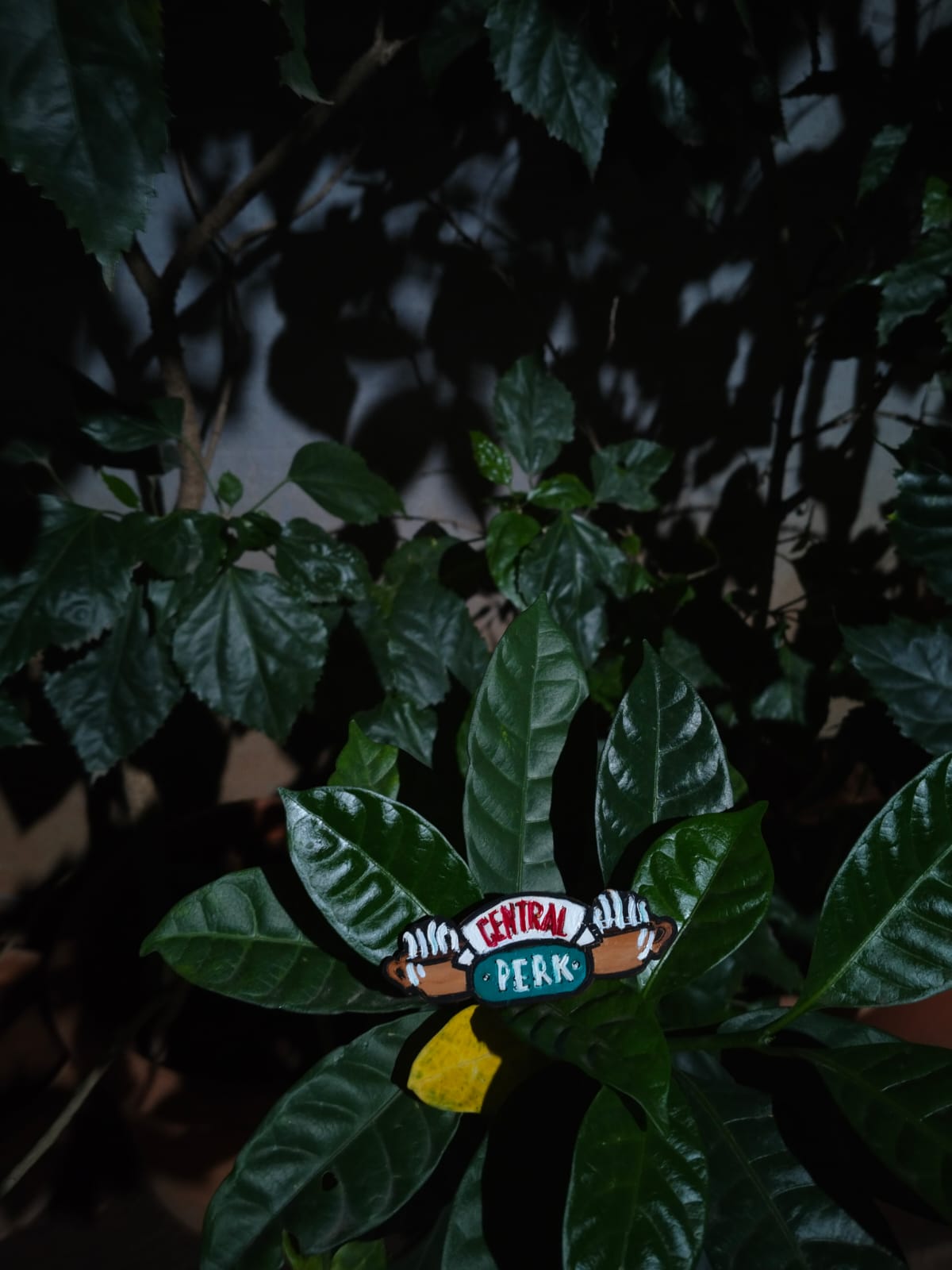 Friends Central Perk Magnet